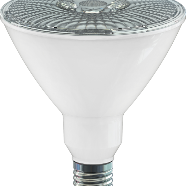 Dimmable LED PAR38 Lamp